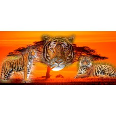TRI-INSPIRAZION GREETING CARD Eye of a Tiger
